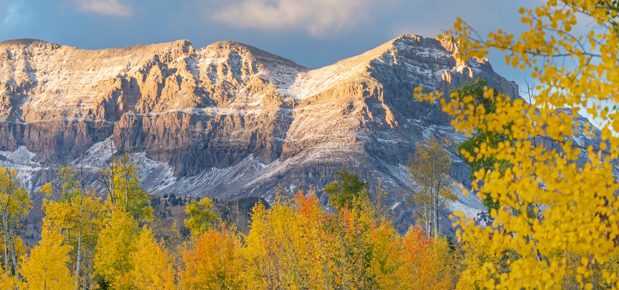 Golden autumn aspens below rugged mountain peaks near Telluride, Colorado