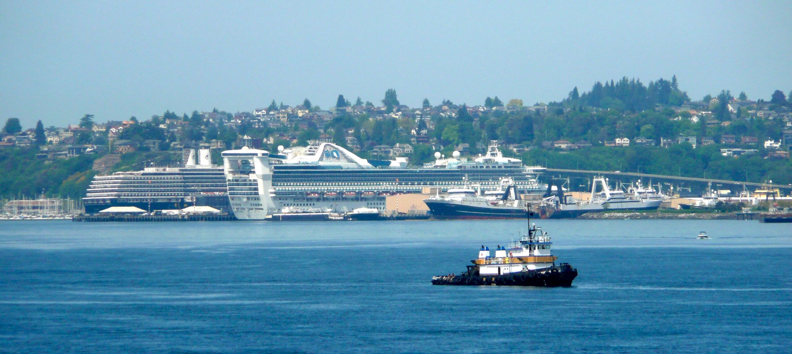 Two large cruise ships docked at Seattle's Interbay cruise terminals on Elliott Bay