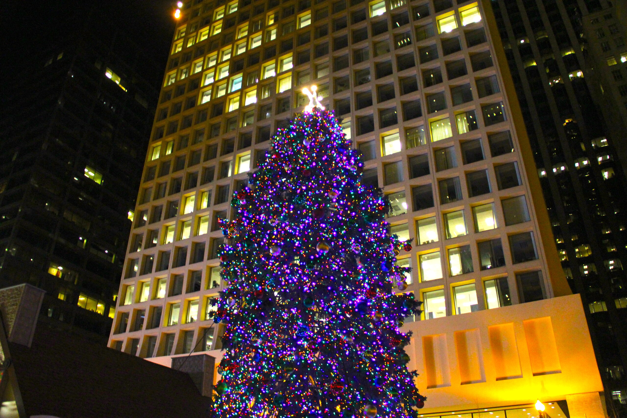 Christmas tree illuminated at night at Christkindlmarket Chicago in Daley Plaza