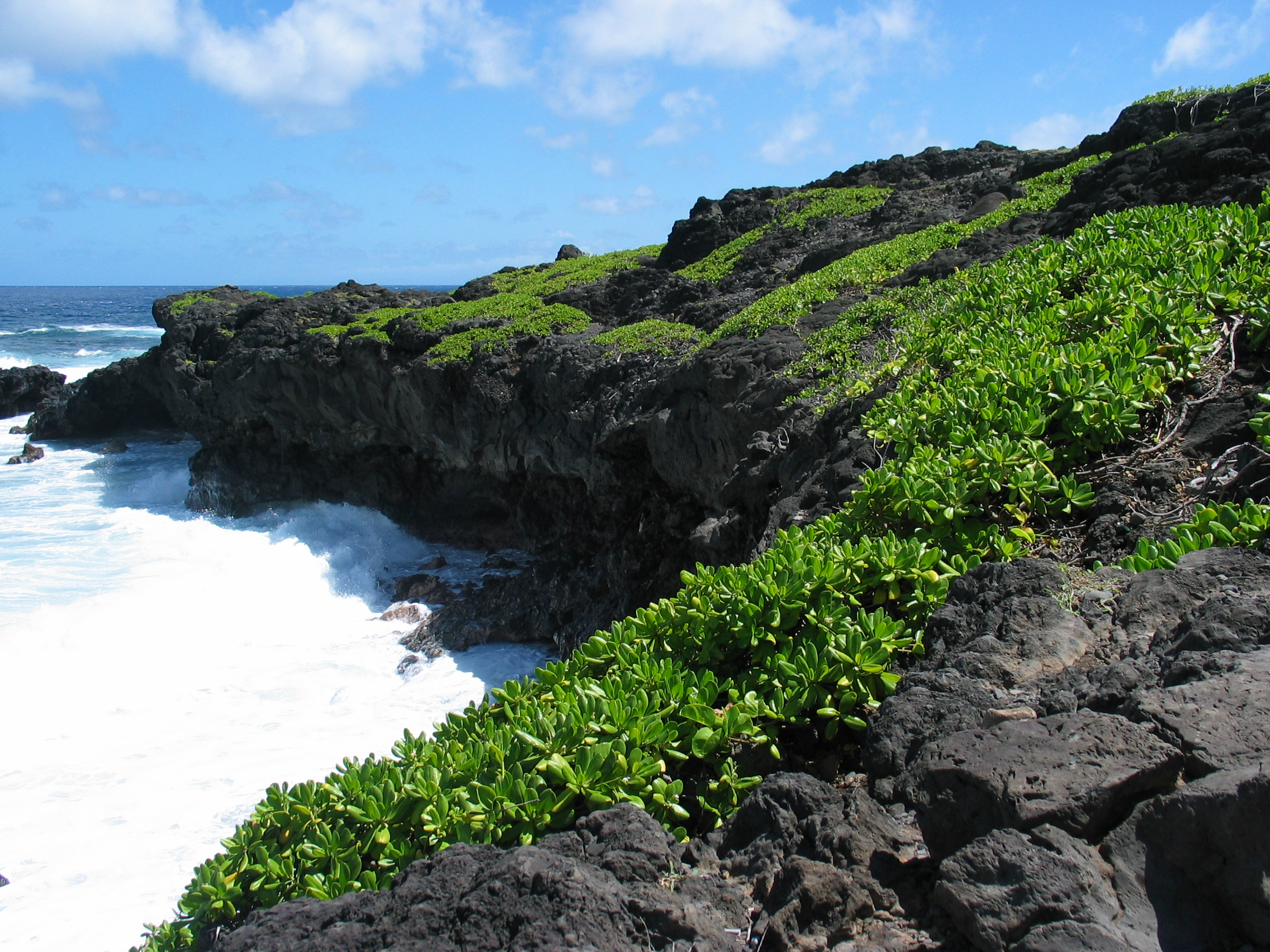 Rocky volcanic coastline with green vegetation and ocean waves in the Kipahulu region of Maui, Hawaii