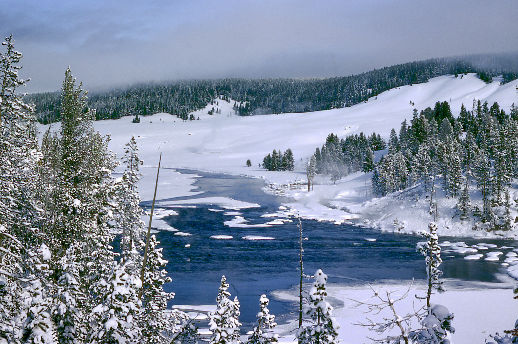 Snow-covered Yellowstone landscape with a partly open river and geothermal steam in winter