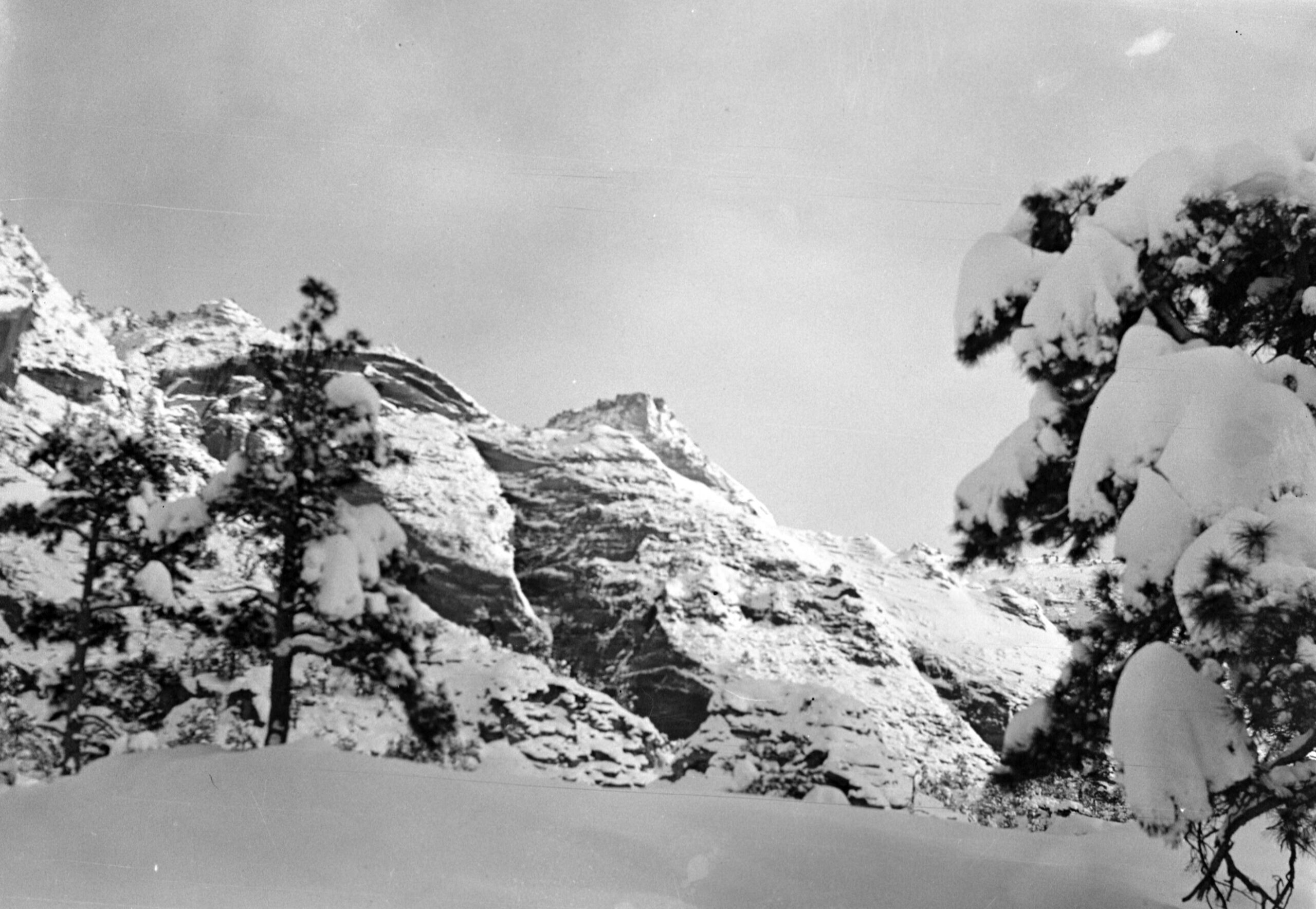 Snow-covered sandstone cliffs and pine trees after a heavy winter storm in Zion National Park